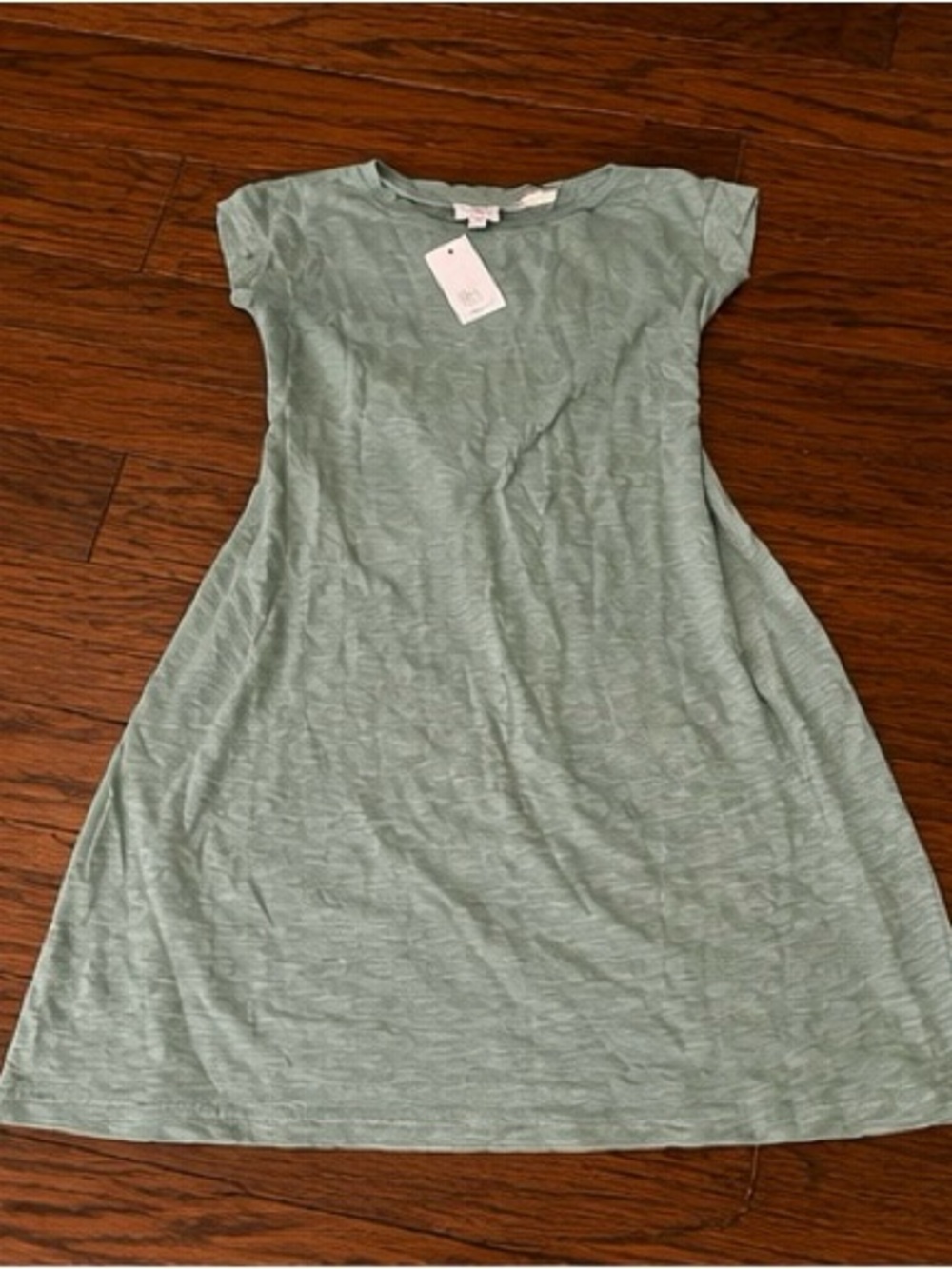 J. Crew Mint Green Short Sleeve A-Line Mini Dress